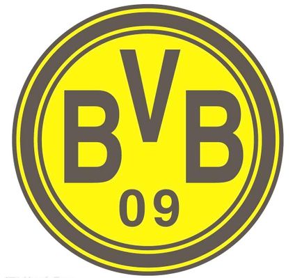 的职业体育 的职业体育