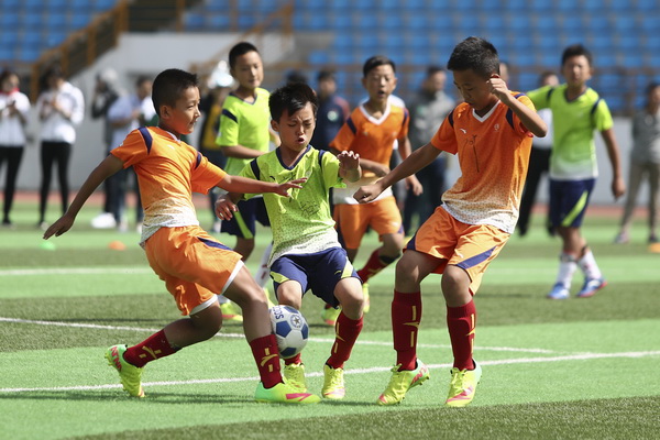 随荷兰去世 随荷兰去世